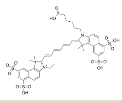 茴香酰胺-聚乙二醇-CY7.5 