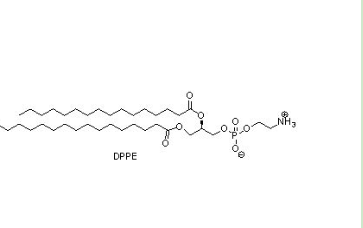 DPPE-PEG-茴香酰胺
