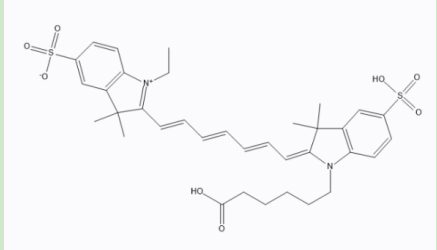 姜黄素-聚乙二醇-CY7