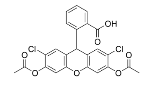 CAS：4091-99-0 H2DCFDA