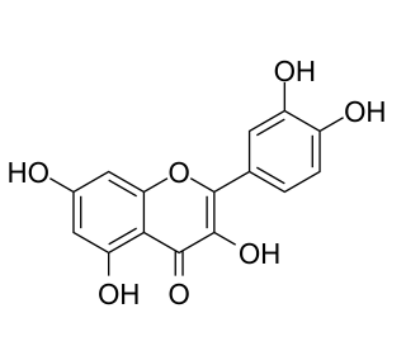 CAS:117-39-5 Quercetin 槲皮素 