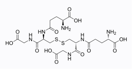 cas:27025-41-8 Glutathione oxidized