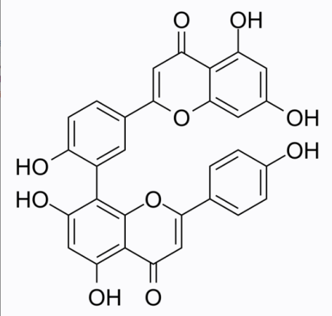 cas:1617-53-4 Amentoflavone