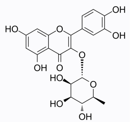 cas:522-12-3 Quercitrin 槲皮苷