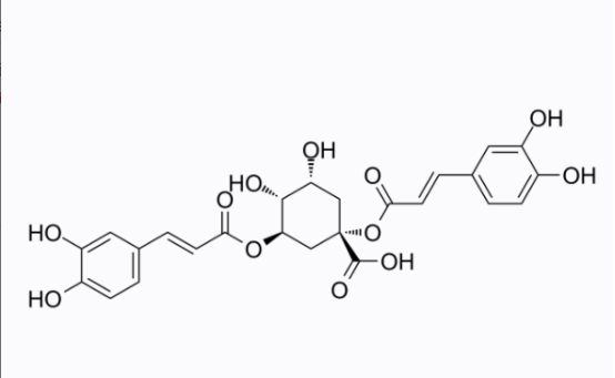cas:19870-46-3 1,3-Dicaffeoylquinic acid