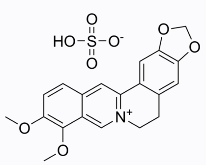 cas:633-66-9 Berberine sulfate 