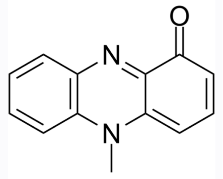 cas:85-66-5 Pyocyanin