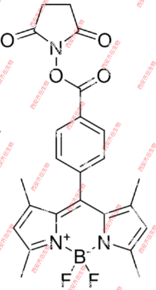 BODIPY  493/503 NHS