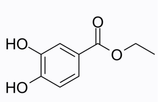 cas:3943-89-3 Ethyl 3,4-dihydroxybenzoate