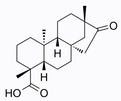 cas:27975-19-5 Isosteviol 异甜菊醇 