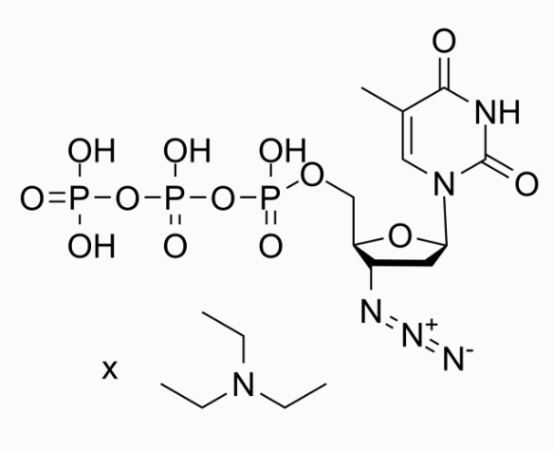 AZT triphosphate TEA 活性氧分子