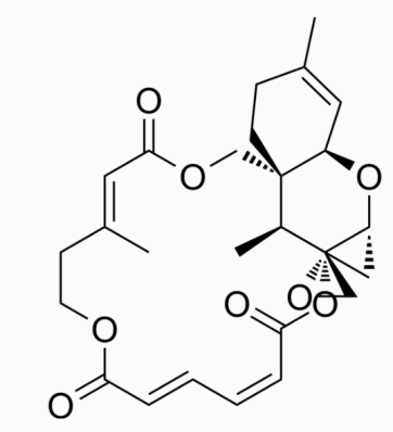 cas:4643-58-7 Verrucarin J