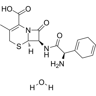 Cephradine (monohydrate) 