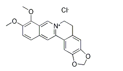 活化氧Berberine hydrochloride,盐酸小檗碱,CAS:633-65-8