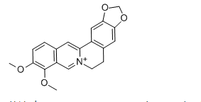 活化氧黄莲素，Berberine，CAS：2086-83-1