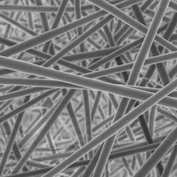 壳聚糖/聚丙烯腈重金属吸附膜纳米纤维膜