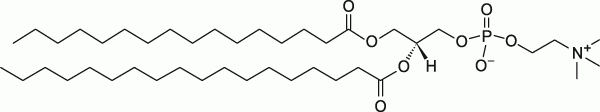 16:0-18:0 PC|1-palmitoyl-2-stearoyl-sn-glycero-3-phosphocholine|PC磷脂