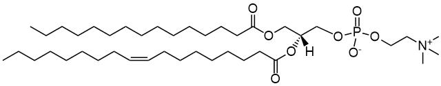 15:0-18:1 PC|1-pentadecanoyl-2-oleoyl-sn-glycero-3-phosphocholine