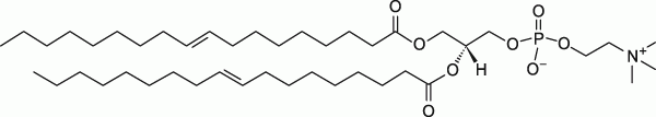 18:1 (Δ9-Trans) PC|1,2-dielaidoyl-sn-glycero-3-phosphocholine