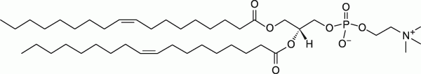 18:1 (Δ9-Cis) PC (DOPC)|1,2-dioleoyl-sn-glycero-3-phosphocholine