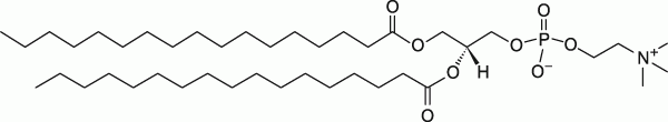 17:0 PC|1,2-diheptadecanoyl-sn-glycero-3-phosphocholine