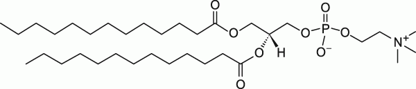 13:0 PC|1,2-ditridecanoyl-sn-glycero-3-phosphocholine