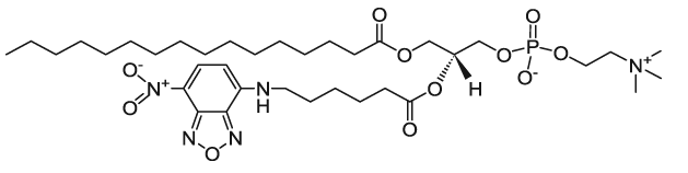 16:0-06:0 NBD PC|1-palmitoyl-2-{6-[(7-nitro-2-1,3-benzoxadiazol-4-yl)amino]hexanoyl}-sn-glycero-3-phosphocholine