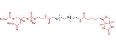 磷脂聚乙二醇生物素，DSPE-PEG-Biotin，生物素PEG磷脂， 生物素聚乙二醇磷脂