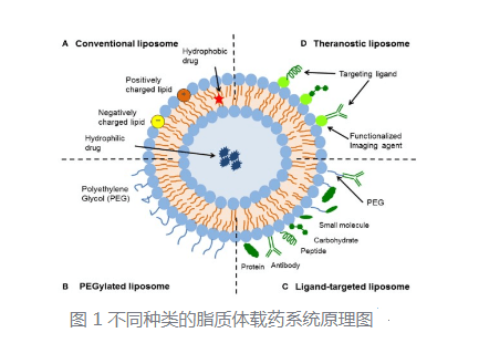 DOPC+胆固醇脂质体