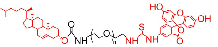 胆固醇 聚乙二醇 荧光素 、胆固醇PEG荧光素、Cholesterol-PEG-FITC