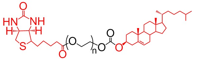 胆固醇-聚乙二醇-生物素、胆固醇PEG生物素、Cholesterol-PEG-Biotin