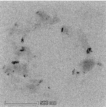 羧基化二硫化钼 MoS2-COOH