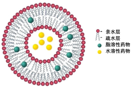 荧光标记阳离子脂质体包载四氧化三铁