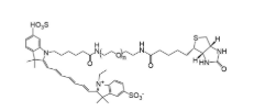 CY7-聚乙二醇-生物素，CY7-PEG-Biotin，CY7聚乙二醇生物素