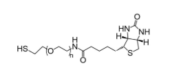 Biotin-PEG-SH，生物素-聚乙二醇-巯基，Biotin-PEG-Thiol
