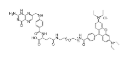 FA-PEG-RB，叶酸-聚乙二醇-罗丹明，Folic acid-PEG-RB 