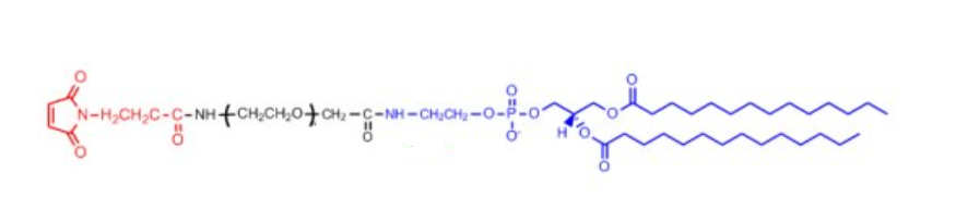 Dmpe Peg Mal Maleimide Peg Dmpe Udp Mof