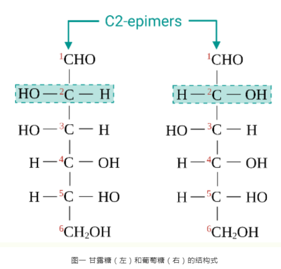 Glucese-J-胍基(精氨酸）