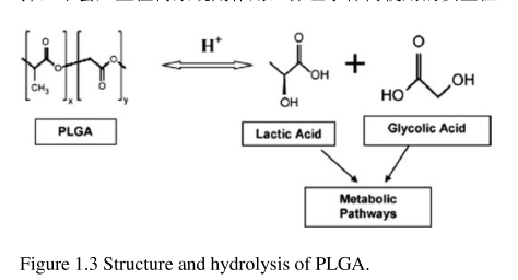 PLGA8K-TK-PEG2K(75/25)