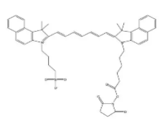 荧光标记活化脂ICG-NHS ester，活化脂吲哚菁绿，1622335-40-3