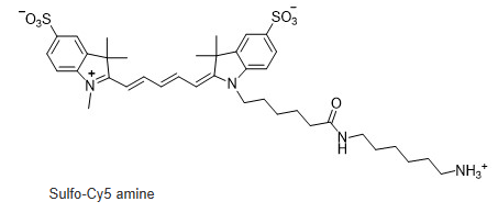 Sulfo-Cy5-氨基，磺化Cy5荧光标记氨基，水溶CY5-NH2