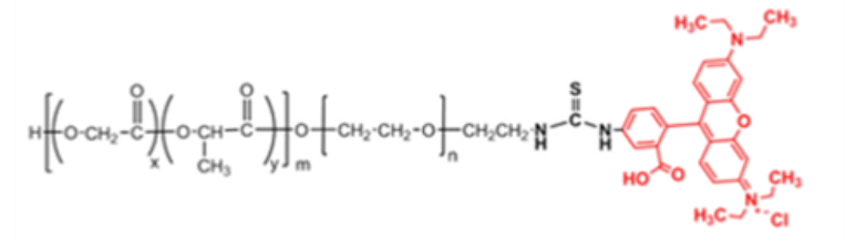 PLGA PEG RB 聚乳酸 羟基乙酸共聚物PEG罗丹明B Rhodamine B PEG PLGA UDP糖丨MOF丨金属有机框架丨聚集