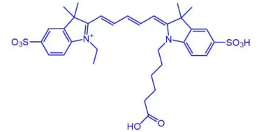 Cy5.5-NHS Cy5-NHS ester 花菁染料CY5标记活化酯齐岳生物提供