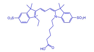 Cy3 结构式