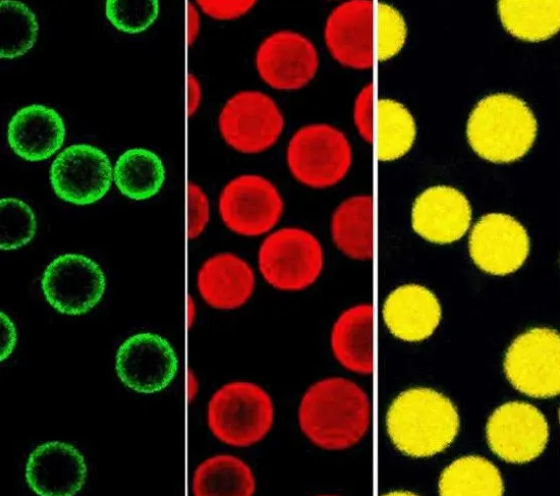 Polystyrene beads, FITC labeled