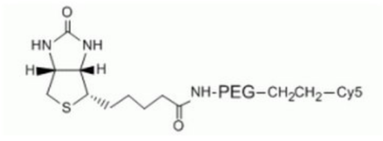 Biotin-PEG-CY5