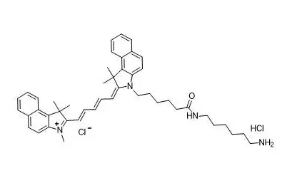 CY5.5-PEG-Amine