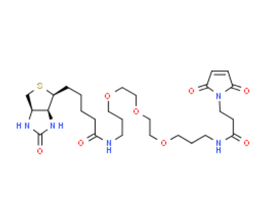 Biotin-PEG3-Maleimide