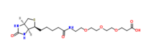 Biotin-PEG3-acid