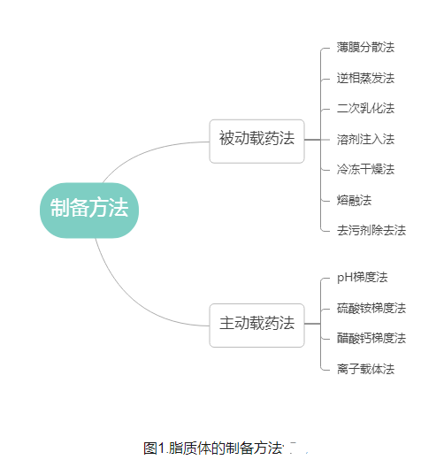 索拉非尼/钆共载脂质体